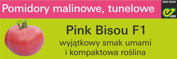 pinkbisou